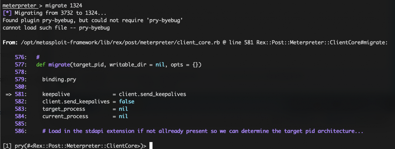 Debugger 1